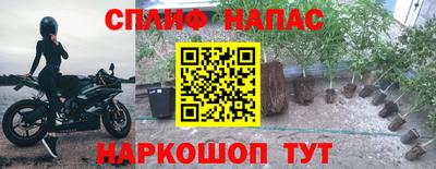 гидропоника Гатчина
