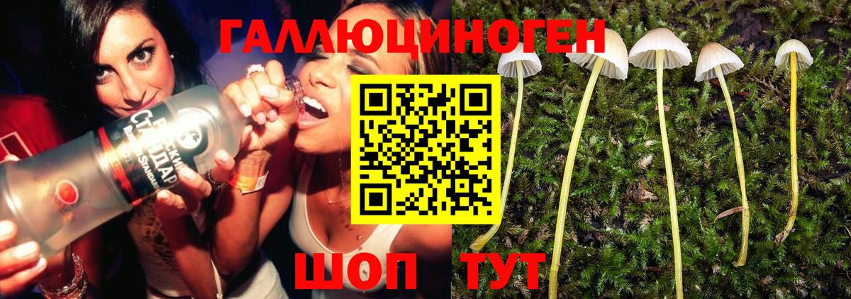 закладка  Галлюциногенные грибы ЛСД  Вход с VPN  Северобайкальск  Псилоцибиновые грибы Magic Shrooms 